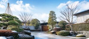 新年のご挨拶と、冬の樹木管理についてのご案内