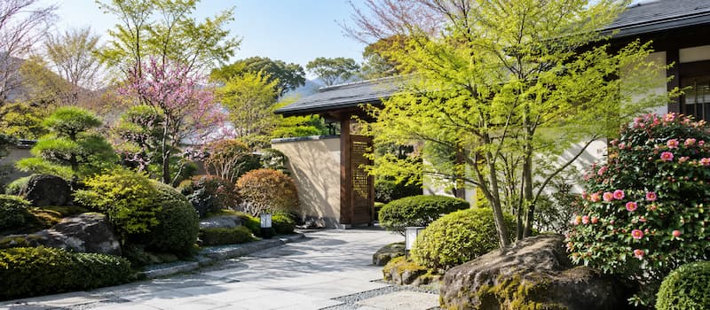 春の訪れと、植栽管理のご案内